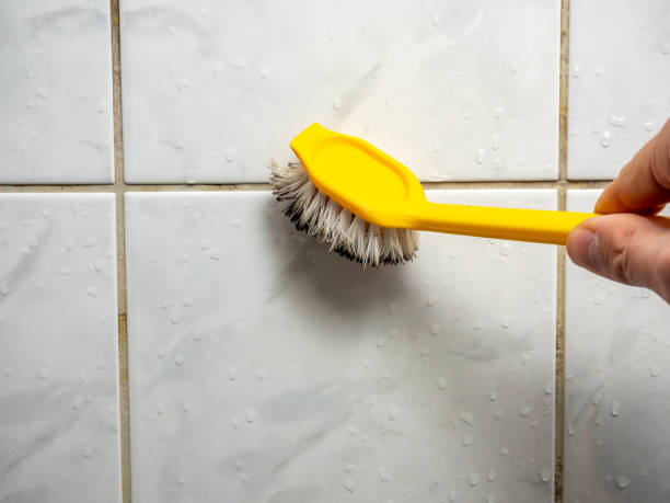 Best Preventive Mold Services in Hallstead, PA